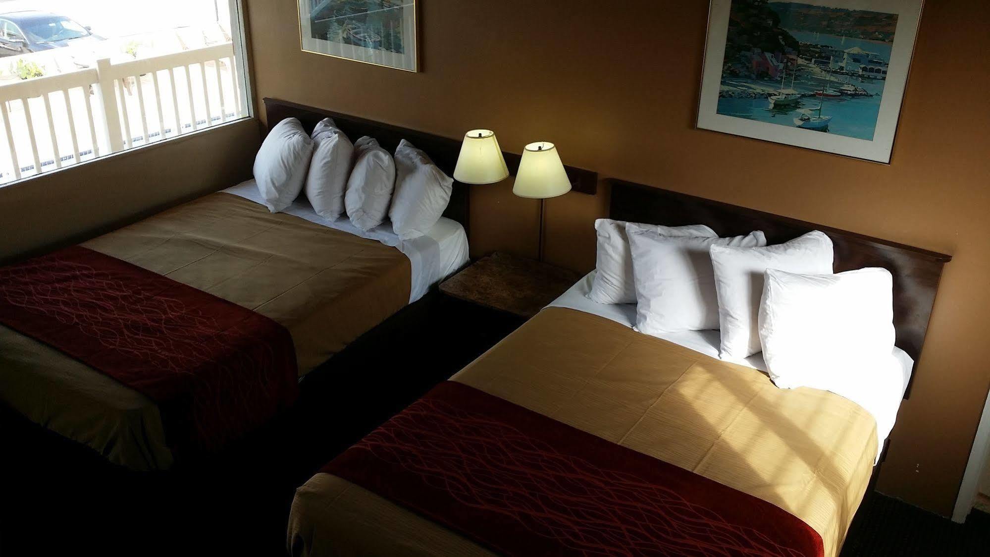 The Palms On Ocean Motel Pompano Beach Bagian luar foto