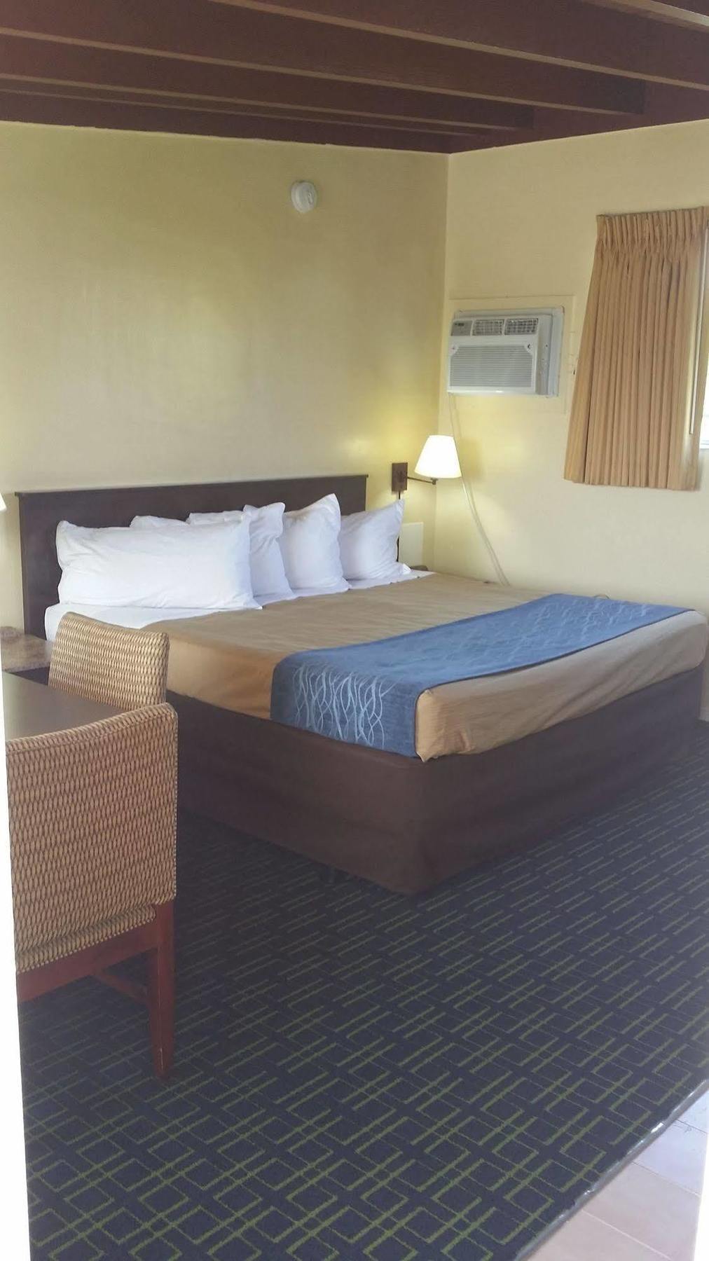 The Palms On Ocean Motel Pompano Beach Bagian luar foto