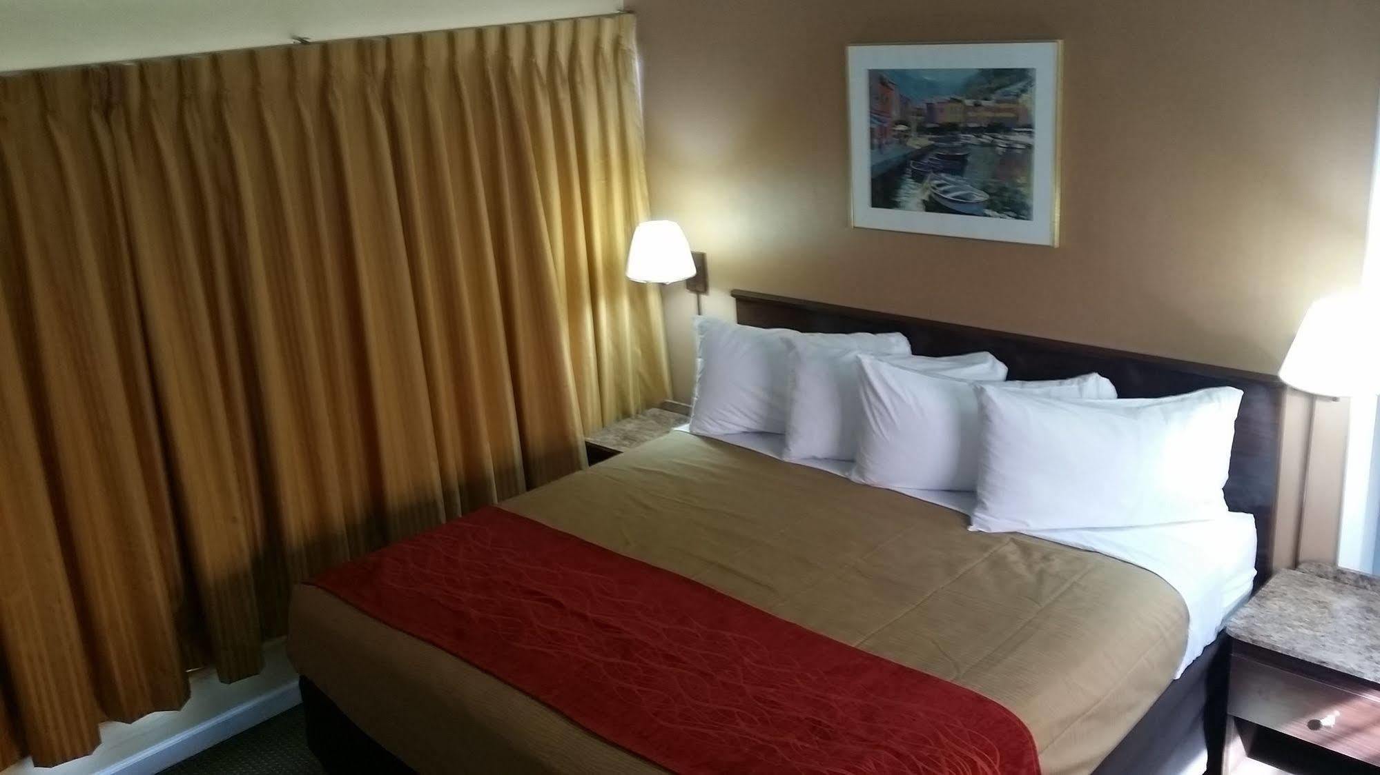 The Palms On Ocean Motel Pompano Beach Bagian luar foto