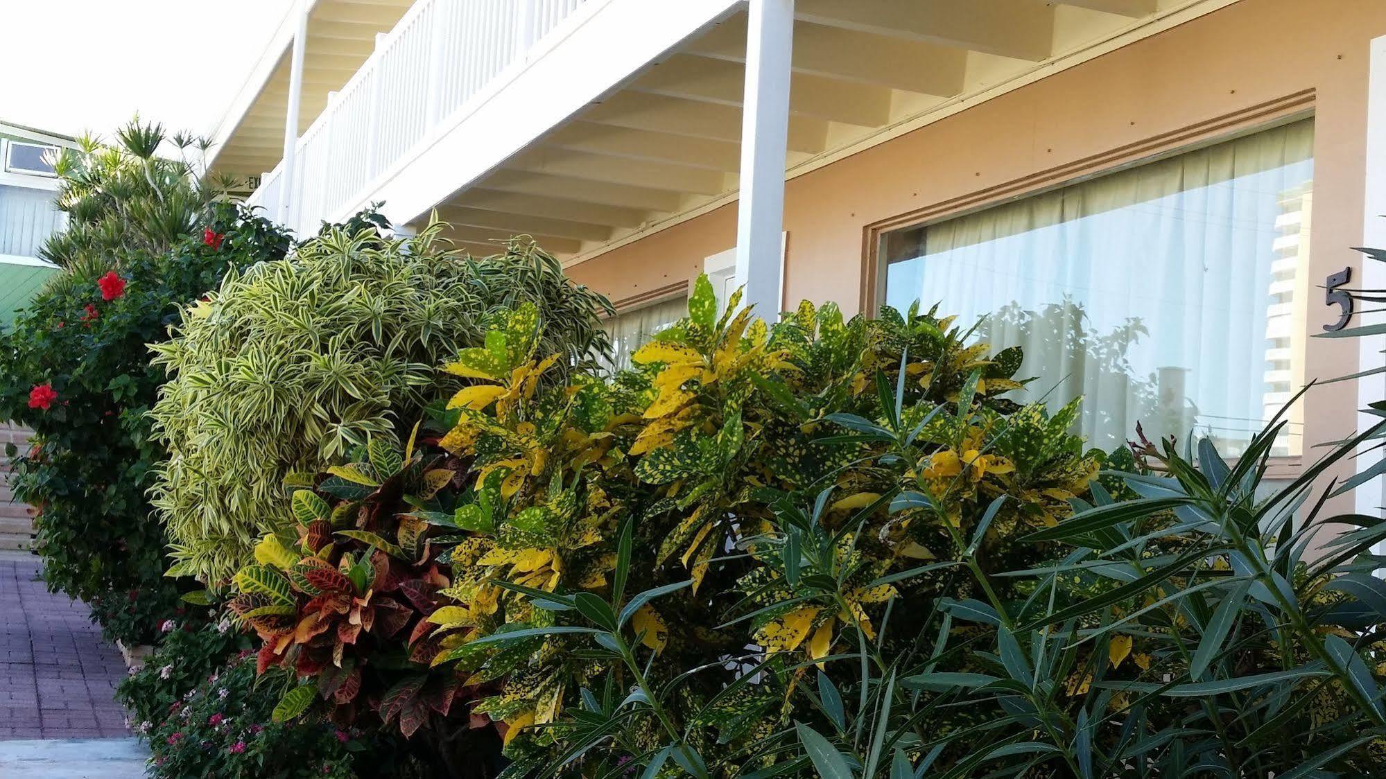 The Palms On Ocean Motel Pompano Beach Bagian luar foto