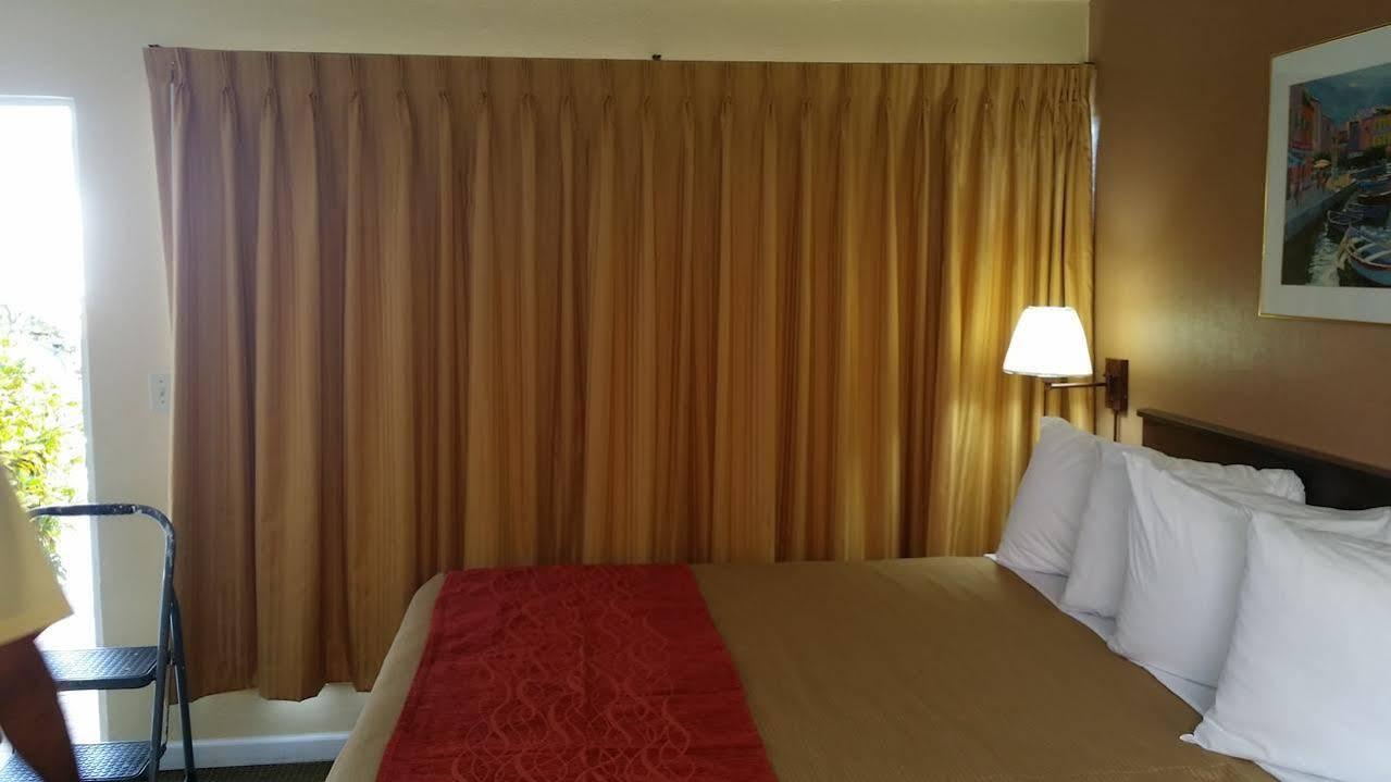 The Palms On Ocean Motel Pompano Beach Bagian luar foto